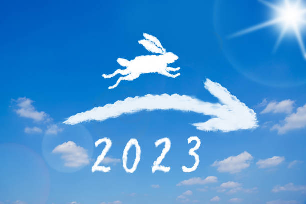 2023年「癸卯」はどんな年になる？干支の特徴、運勢を解説