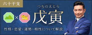 戊寅（つちのえとら）の性格や特徴は？恋愛・相性も解説
