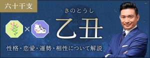 乙丑（きのとうし）の性格や特徴は？恋愛・相性も解説