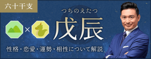 戊辰（つちのえたつ）の性格や特徴は？恋愛・相性も解説
