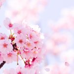◆4月5月6月版◆|《松田広子の人生霊視》この春、どんな運命が待ち受けているのか占います!