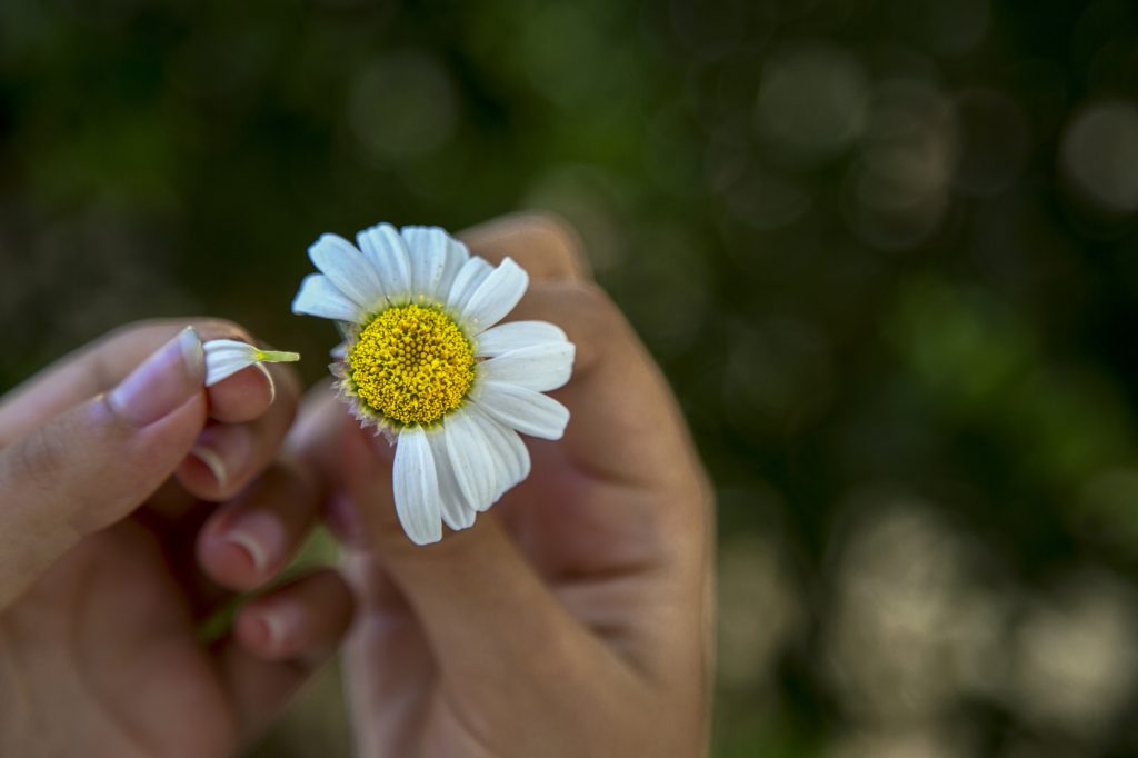 《真木あかりの恋愛占い》｜【諦めるべきか…迷われている方へ】この恋の見極め方を教えます…