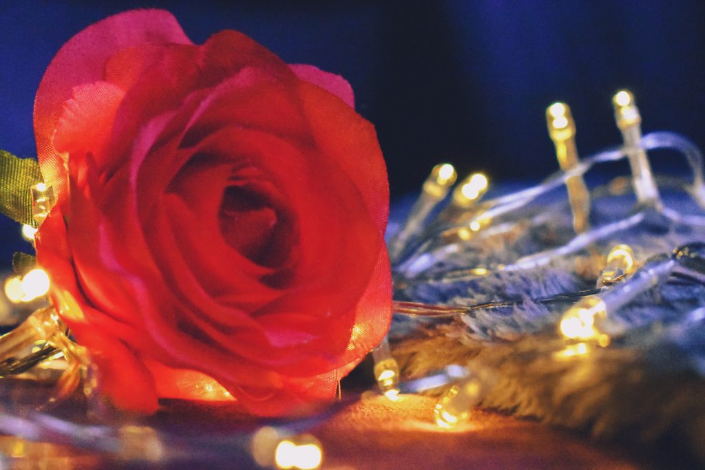 《不倫占い》｜【愛の行方】あの人との関係…本物だよね？あの人の本気度