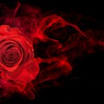 【不倫占い】|『彼に離婚意志はある?』あの人の本心・覚悟・最終決断