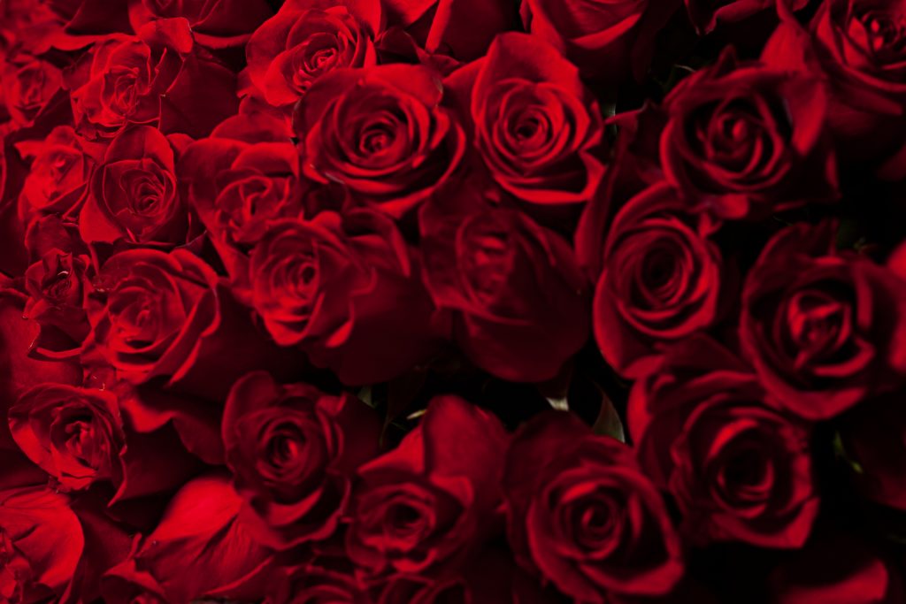 松田広子の不倫占い｜『今年中に彼は離婚を決める？』『不倫略奪できる？』２人の結末