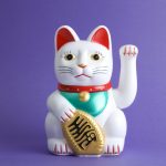 お金に愛される人がやっている「習慣」「お財布の特徴」について大解明!