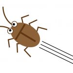 心理テスト|部屋にゴキブリを発見!あなたはどうする?