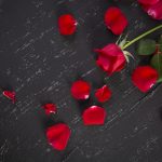 Ｗ不倫占い｜『本能のままに生きていい？』２人の宿縁・選択