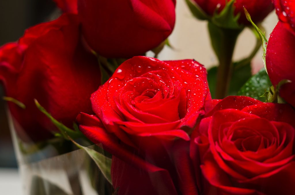 誕生日占い｜X月X日までに覚悟決めて≪あの人と一線超える夜≫2人の初SEX