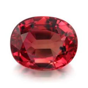 ココナラ:Rosalia Rubino(ロザリア・ルビーノ)先生