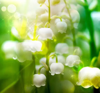 みんなの電話占い:セラ先生