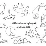 猫系男子の扱い方|特徴・性格・恋愛観