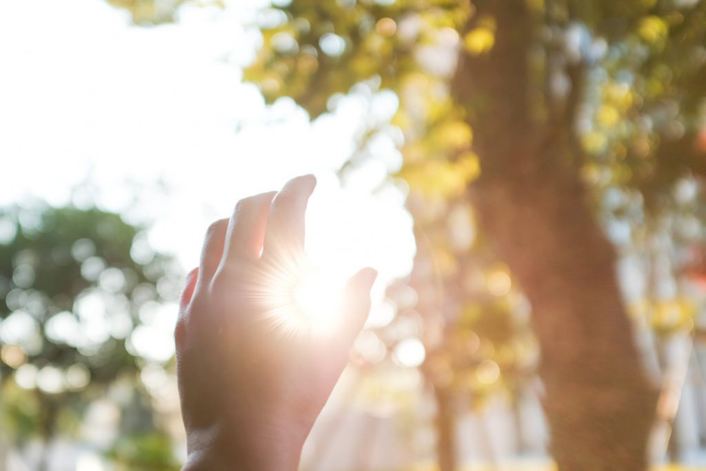 完全無料|【オラクルカードが伝える】今、あなたの人生を輝かせるもの