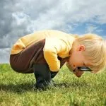 夢占い｜虫の夢の意味とは？虫の種類・状況別の暗示33選
