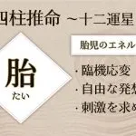 四柱推命|十二運の「胎(たい)」とは?性格・適職・恋愛傾向・人間関係