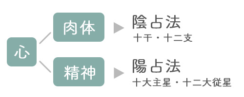 算命学の陰占法と陽占法の図解