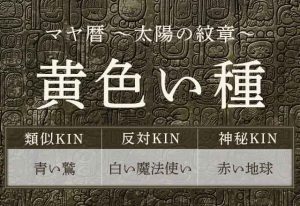 マヤ暦｜黄色い種はどんな人？性格・特徴・相性が良い紋章をご紹介