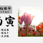四柱推命「丙寅(ひのえとら)」の特徴とは？性格・運勢・相性・有名人