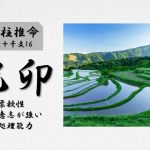 四柱推命「己卯(つちのとう)」の特徴・性格・運勢・相性・有名人