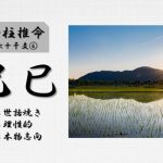 四柱推命「己巳(つちのとみ)」の特徴とは?性格・運勢・相性・有名人