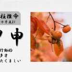 四柱推命「甲申(きのえさる)」の特徴・性格・運勢・相性・有名人