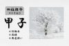 四柱推命「甲子(きのえね)」の特徴とは？性格・運勢・相性・有名人