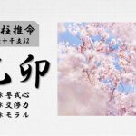 四柱推命「乙卯(きのとう)」の特徴・性格・運勢・相性・有名人