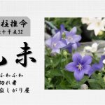 四柱推命「乙未(きのとひつじ)」の特徴・性格・運勢・相性・有名人