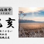 四柱推命「己亥(つちのとい)」の特徴・性格・運勢・相性・有名人