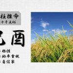 四柱推命「己酉(つちのととり)」の特徴・性格・運勢・相性・有名人