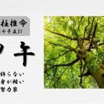 四柱推命「甲午(きのえうま)」の特徴・性格・運勢・相性・有名人