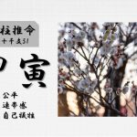 四柱推命「甲寅(きのえとら)」の特徴・性格・運勢・相性・有名人