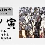 四柱推命「甲寅(きのえとら)」の特徴・性格・運勢・相性・有名人