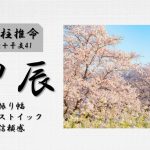 四柱推命「甲辰(きのえたつ)」の特徴・性格・運勢・相性・有名人