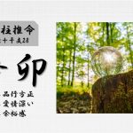 四柱推命「辛卯(かのとう)」の特徴・性格・運勢・相性・有名人
