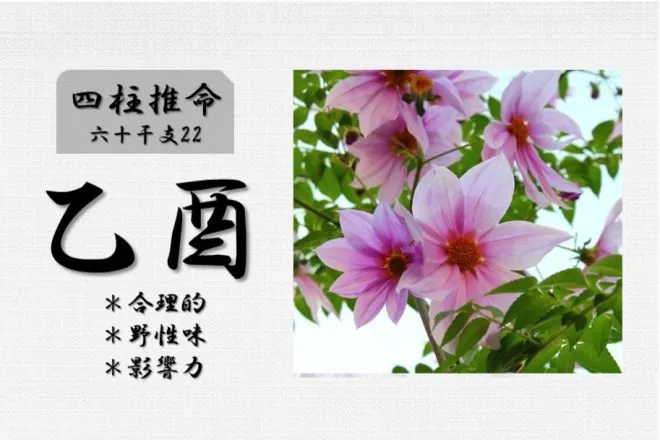 四柱推命「乙酉(きのととり)」の特徴・性格・運勢・相性・有名人