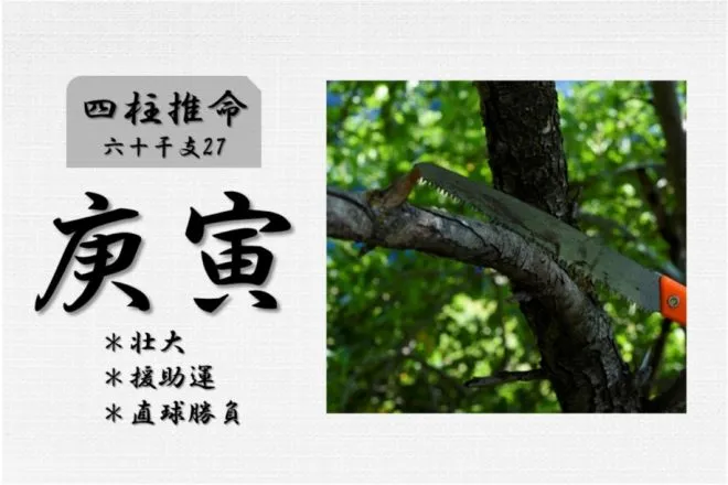 四柱推命「庚寅(かのえとら)」の特徴・性格・運勢・相性・有名人