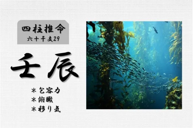 四柱推命「壬辰(みずのえたつ)」の特徴・性格・運勢・相性・有名人