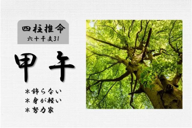 四柱推命「甲午(きのえうま)」の特徴・性格・運勢・相性・有名人