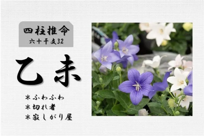 四柱推命「乙未(きのとひつじ)」の特徴・性格・運勢・相性・有名人