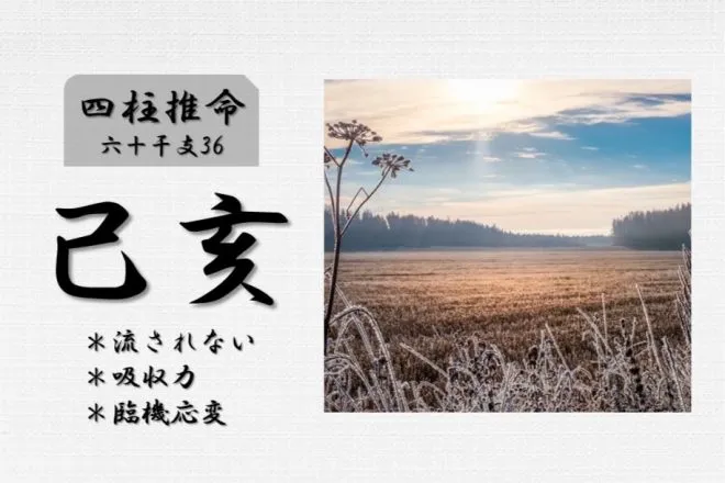 四柱推命「己亥(つちのとい)」の特徴・性格・運勢・相性・有名人