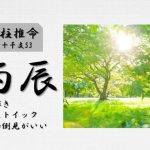 四柱推命「丙辰(ひのえたつ)」の特徴・性格・運勢・相性・有名人