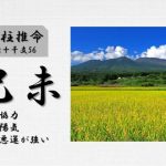 四柱推命「己未(つちのとひつじ)」の特徴・性格・運勢・相性・有名人