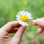 彼じゃなきゃイヤッ【諦めなきゃダメ?恋叶う?】恋の結末