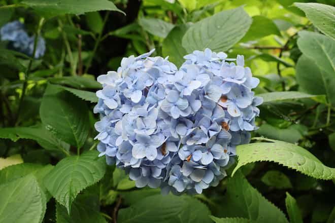恋の行方|成就率は〇〇%【2人の恋現状を“精緻”解析】あなたの存在