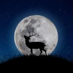 7月の満月「バックムーン」は願い事が叶う?名前の由来・行うと良いこと