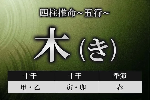 四柱推命｜五行「木」の特徴とは？性格・運勢・仕事・恋愛・相性を解説