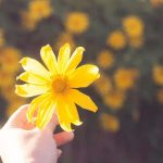 これが現実です【あの人があなたに抱く裏感情】取り巻く異性・格付