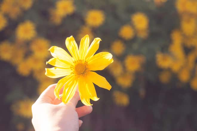 これが現実です【あの人があなたに抱く裏感情】取り巻く異性・格付