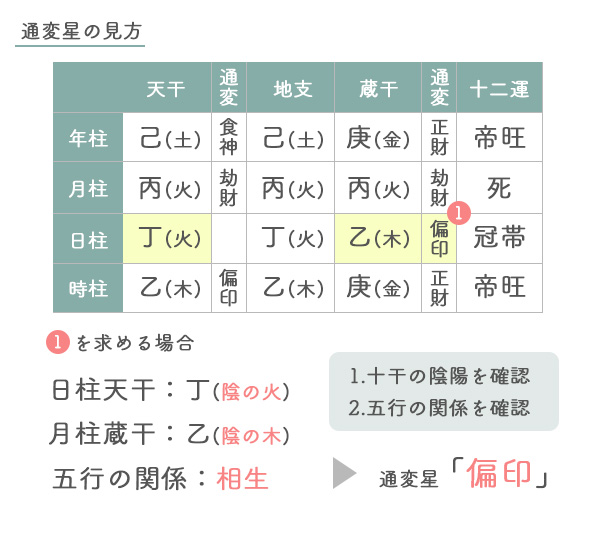 通変星の図解 